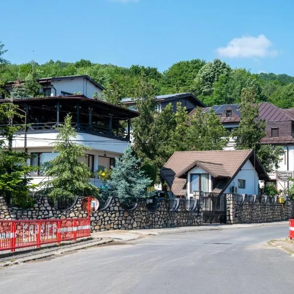 Caprice Monteoru, khách sạn ở Sărata-Monteoru