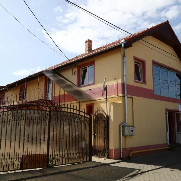 Pensiunea Driver, hotel in Aurel Vlaicu