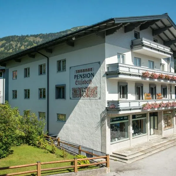 Pension Elisabeth, hotel v destinaci Russbach am Pass Gschütt