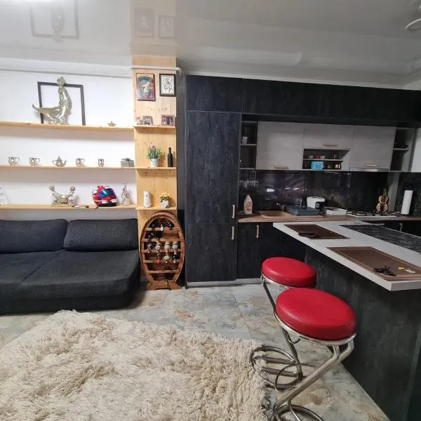 Luxury Flat Nicol, hotel in Mogoşeşti