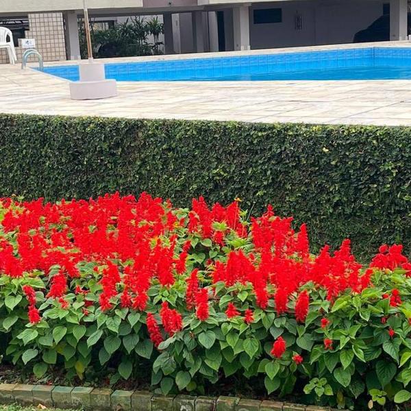 venha para esse paraiso!