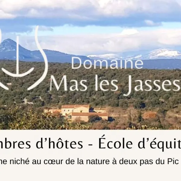 Mas les jasses Chambre d'hôte calme et agréable à la campagne, hotel en Ferrières-les-Verreries