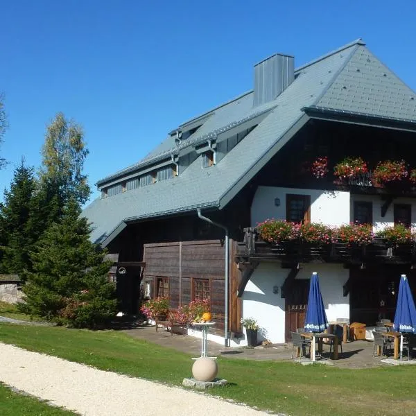 Schwarzwaldhof Nicklas, hôtel à Dittishausen