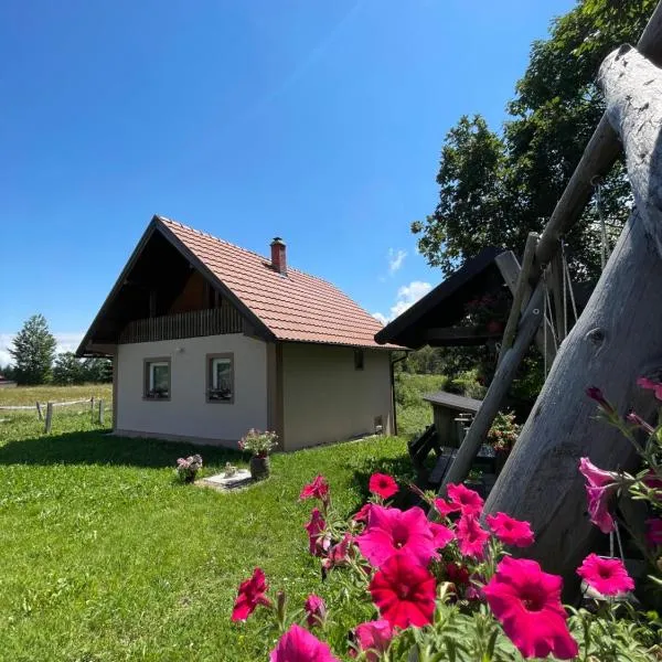 Vikendica Jovanovic, hotel v destinácii Bajina Bašta
