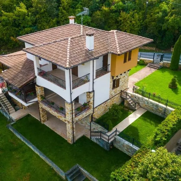 Vila IRA, Hotel in Veria