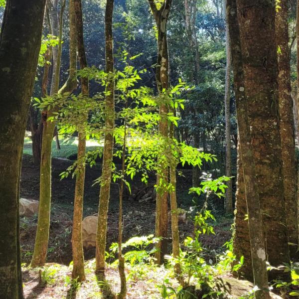 Cachoeira da Gomeira Hospedaria Camping - Foto 3