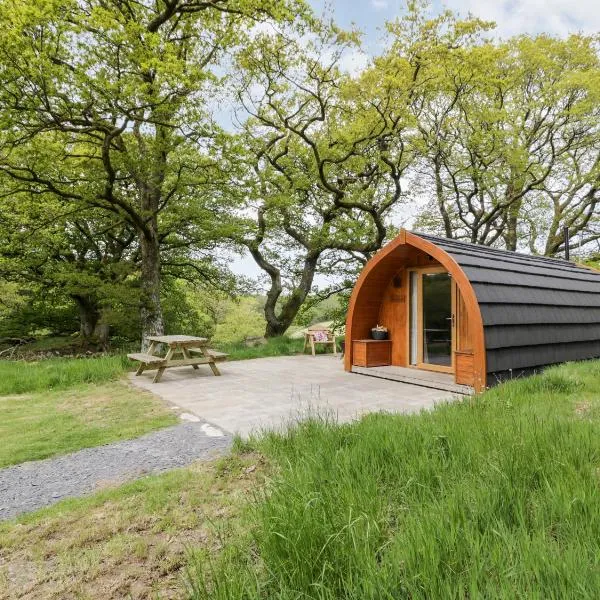 Conwy Pod, hotel in Llanrwst