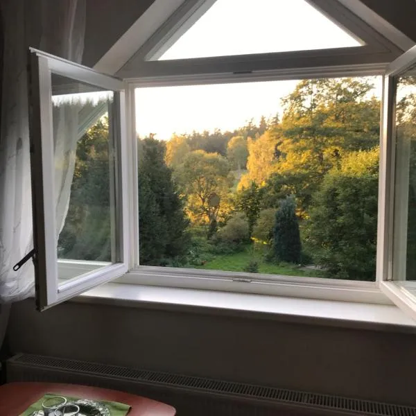 Forest Paradise, hotel v destinaci Stružná