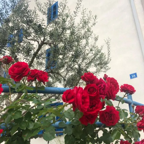 Olive Tree Apartments, hotel v destinaci Umag