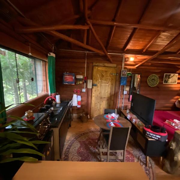 Cabana Dentro da Floresta- Chalés Perpétua Natureza - Foto 5