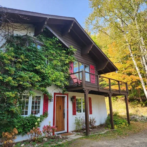 Beautiful Chalet Nestled in the Woods, hotel in Sainte-Agathe-des-Monts