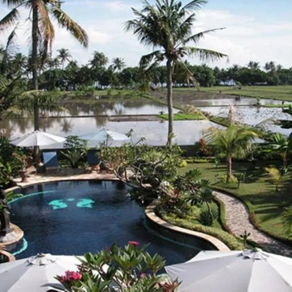 Sawah Lovina, hotel v destinaci Lovina