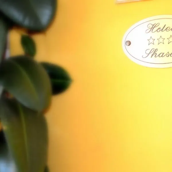 Hotel Shasa, готель у Римі