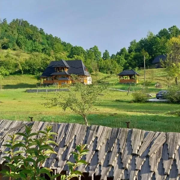 Pensiunea Ancuta din Botiza, hotel in Poienile Izei