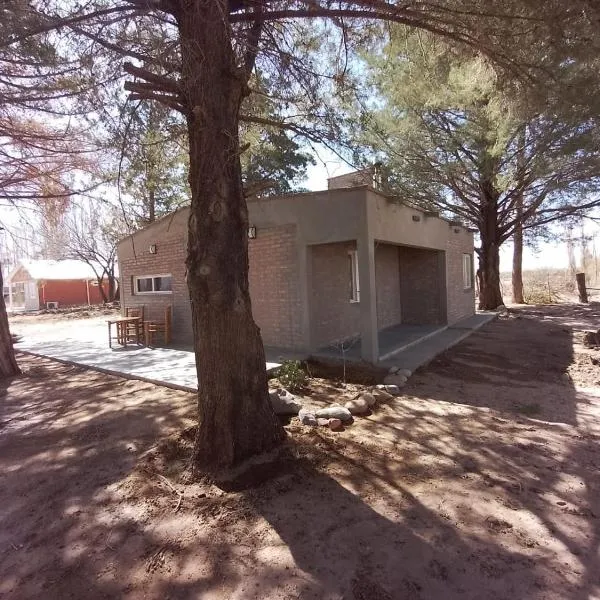 Cabaña Los Pinos, hotel in Barreal