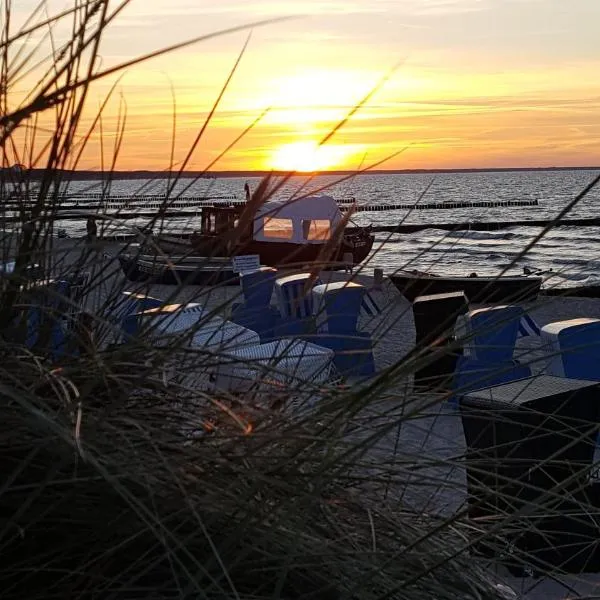 Ferienwohnungen Villa Waldblick, hotel sa Zempin