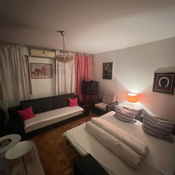 Apartman Kosa, hotel en Bežanija