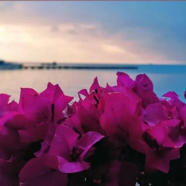 New Year in the Mediterranean, 10 meters from the sea, hotel di Ayaştürkmenli