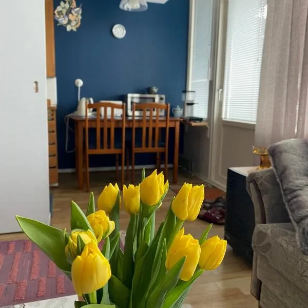 Hot spot of Vaasa, large balcony, City Hall views, hotel in Vaasa