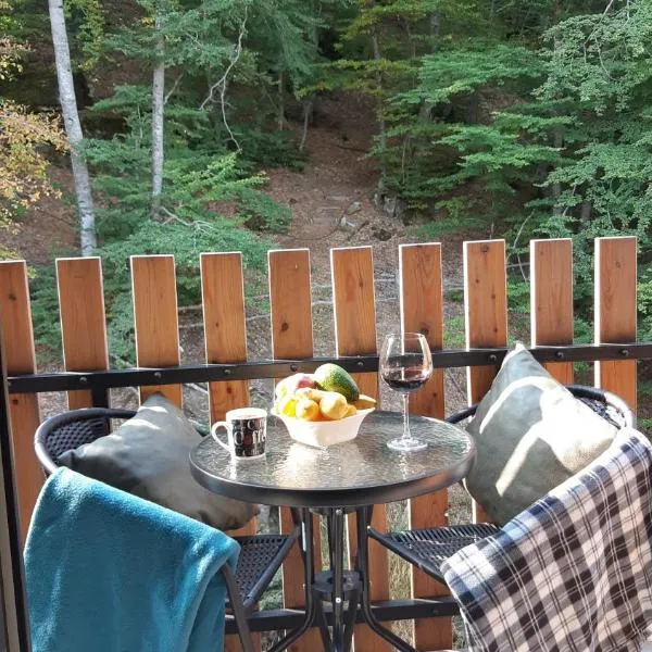 Mavrovo Centar Ski Staza, hotel v destinaci Mavrovo