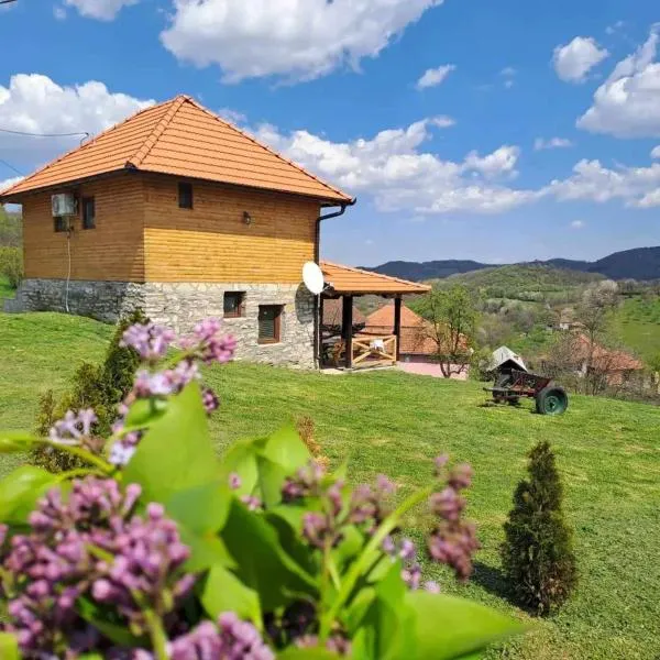 Etno kuća Ostrvica, hótel í Belanovica