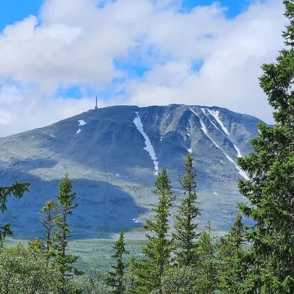 Fin leilighet med flott utsikt til Gaustatoppen, ξενοδοχείο σε Rjukan