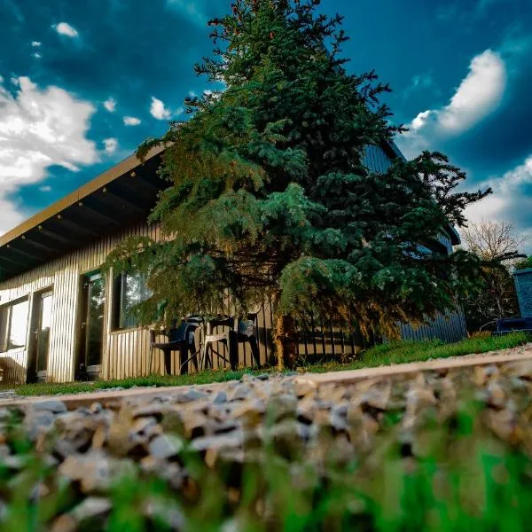 Casa Kaf, hotel v destinaci Sebeşel