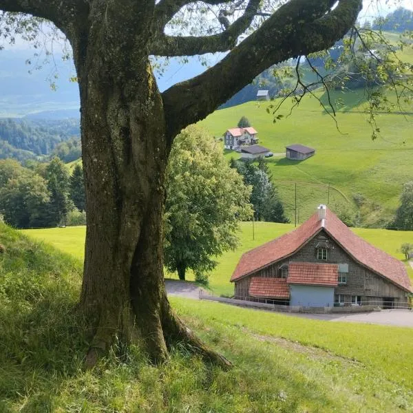 Dom wiejski Artur, hotell i Steg