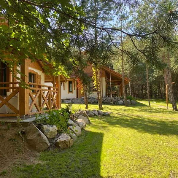 Leśna Kryjówka domki w lesie, hotel in Więcbork