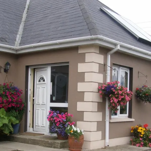 Killurin Lodge, hotel en Wexford