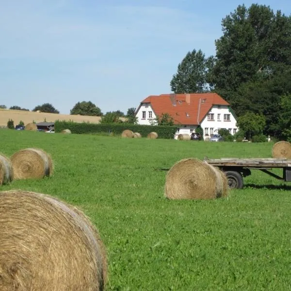 Landhaus Alt Reddevitz, hôtel à Middelhagen