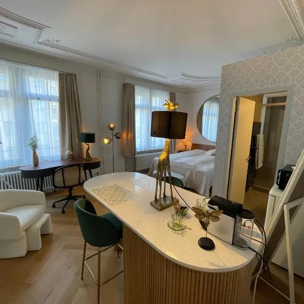 Exclusive residence next to Zürich main station، فندق في زيورخ