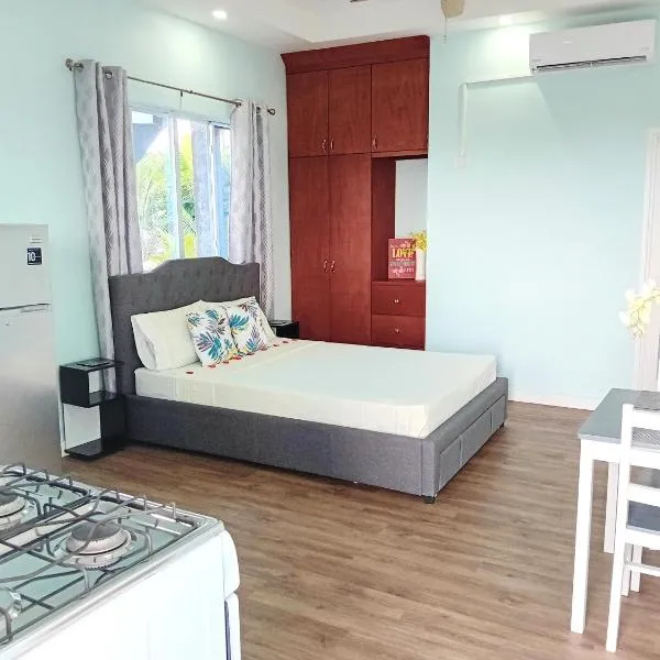 Serenity Seaview Suite, Hotel in Anse La Raye