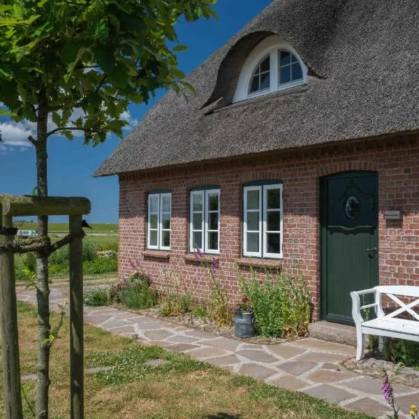 Urlaub in Nordfriesland Wohnung Klaar Kimming, hotel v destinaci Hattstedtermarsch