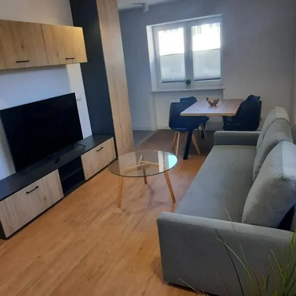 Apartamenty Sportowe AWF, hotel v Katovicích