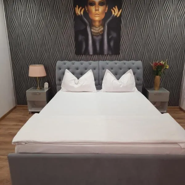 Casa Petcu, hotel v destinaci Craiova