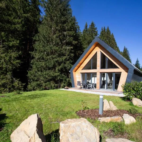 Chalet Belveder Železná Ruda Martina, hotel v destinaci Železná Ruda