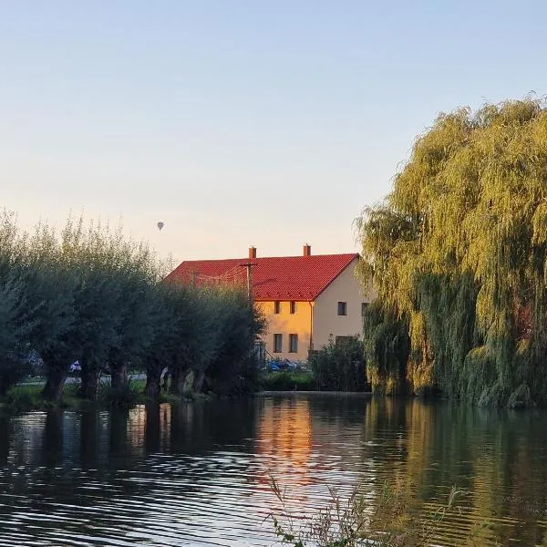 Rodinný dům u rybníka v blízkosti Olomouce, hotel v destinaci Hlušovice