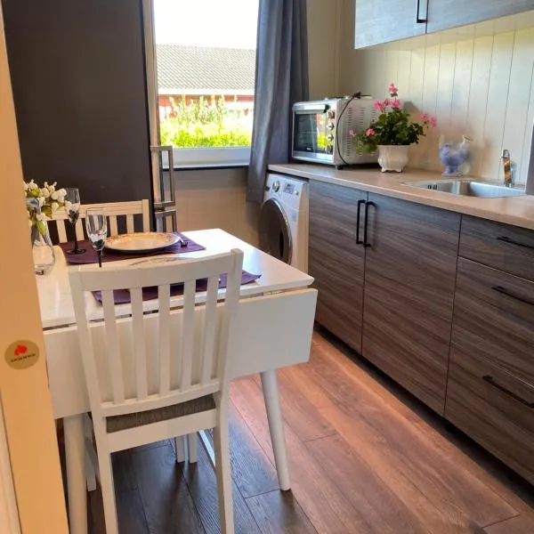comfortable apartment in a quiet area in the city center, hotel di Skien