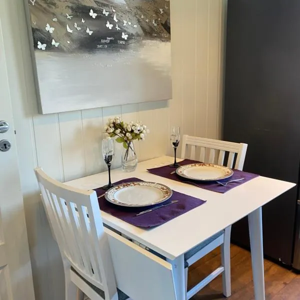 comfortable apartment in a quiet area in the city center, hotel v destinaci Skien