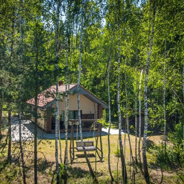 Amber House Deluxe, hotel in Agluonėnai