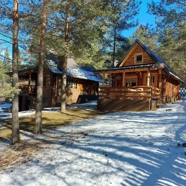 Vila Tatjana-Zlatibor, hotel in Užice