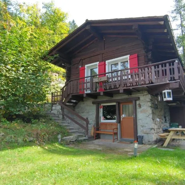 Petit chalet rustique et bucolique、Bovernierのホテル