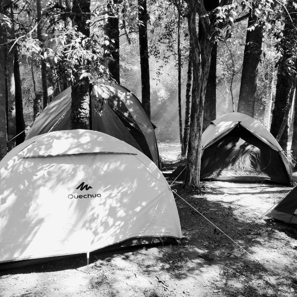 Cachoeira da Gomeira Hospedaria Camping - Foto 5