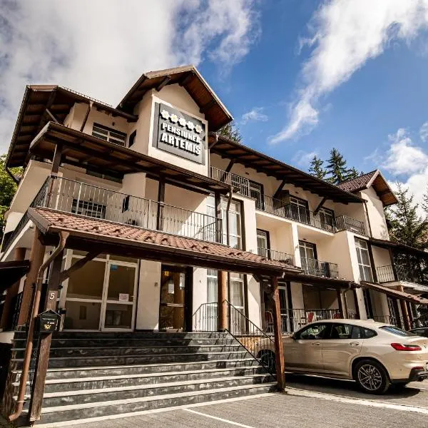 Artemis Villa, hotel v destinaci Poiana Brašov