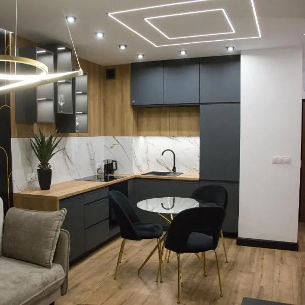 Apartament POSEJDON Gliwice, hotel in Gliwice