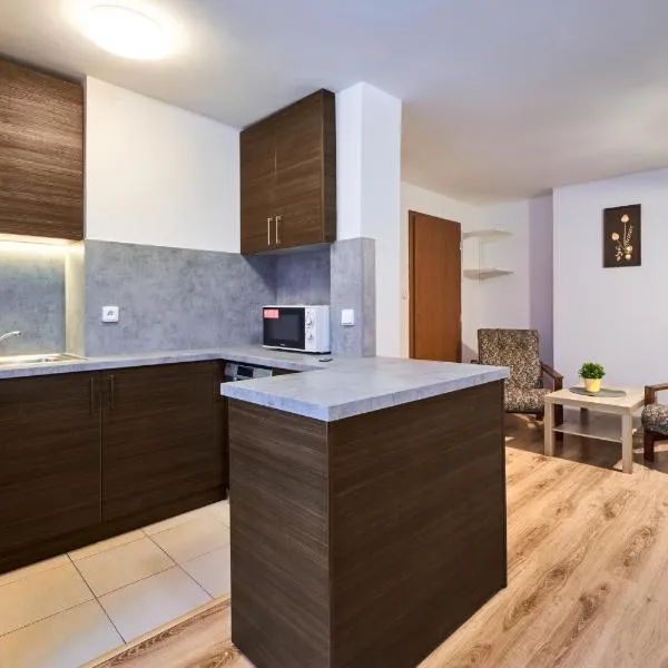 Apartmány Kateřina, hotel in Ricany