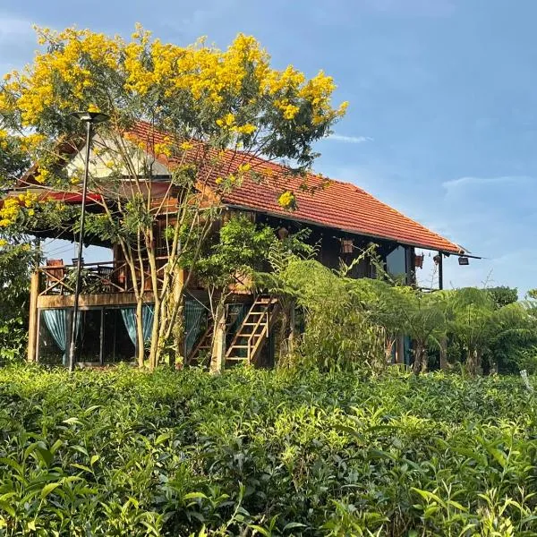 Tea Garden House, hotel in Xã Tân Phát