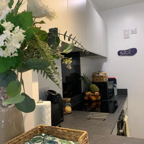 BOURNEMOUTH Nr TOWN-BEACH-TRAIN-COACH-UNI-SHOPS-Lovely ENTIRE APARTMENT ALLOWS QUIET GOOD DOGS, hotelli Bournemouthissa