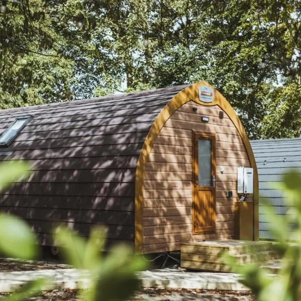 Carlton Manor pods, hotel en Aldbrough